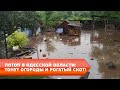 Потоп в Одесской области: тонут огороды и рогатый скот!