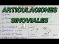 Las Articulaciones Sinoviales | Clasificación y ejemplos