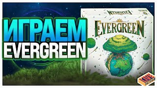 Играем в настольную игру Evergreen (Зеленый Мир)