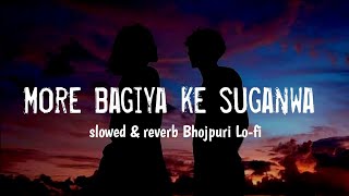 more bagiya ke suganwa | more bagiya ke suganwa slowed and reverb | SRJ reverb  | bhojpuri lofi song
