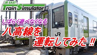 正式版ではプレイできないJR八高線（キハ110系）を運転しておこう！【JR EAST Train Simulator】