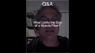 Q&A: What Limits Muscle Growth