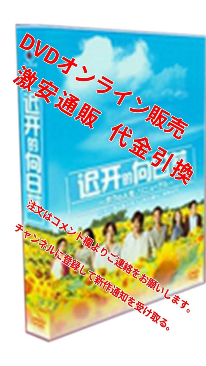大特価代引き 9140円 遅咲きのヒマワリ〜ボクの人生、リニューアル