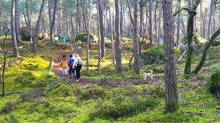 Chú cún TIGER & THICH VI VU - Trekking New Year 2022 - Bagneaux-sur-Loing to Nemours