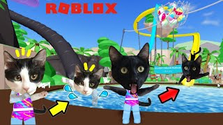 Gato pasa 24 horas en el parque acuático de Roblox Splash World pero con Luna y Estrella los gatitos