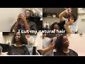 Natural Hair salon visit | I cut my natural hair | starting over