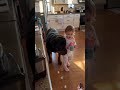 120 Pounds of Dog. Hiding From Ice. Behind a Two-Year-Old. ???? #dog #puppy #pets #funny #baby
