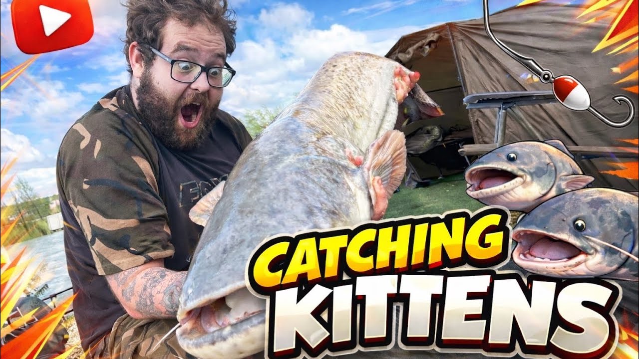 CATCHING KITTENS at coking farm fisheries alder lake - YouTube