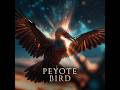 Peyote Bird (Country Duet)