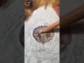 Incredible portrait of dog  dog souravarts drawing sourajoshiarts shorts viral artandcraft