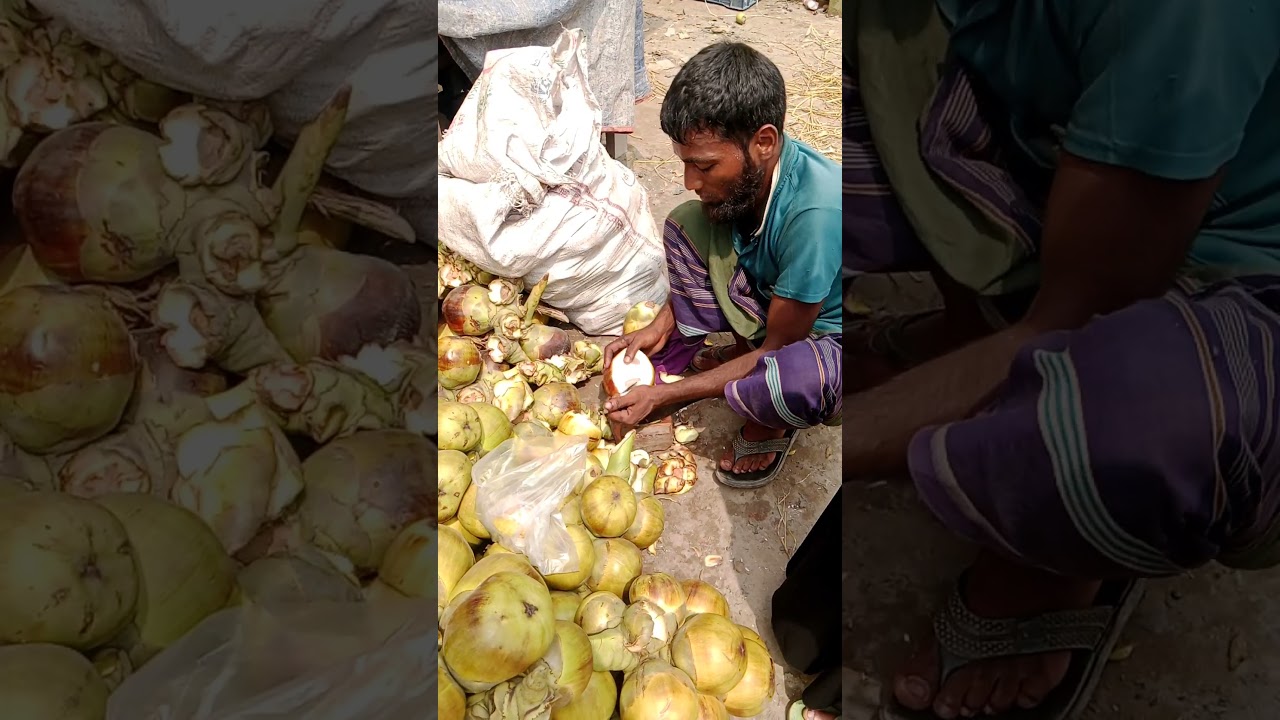 Super Unique Palmyra Palm Fruit Cutting Skills 