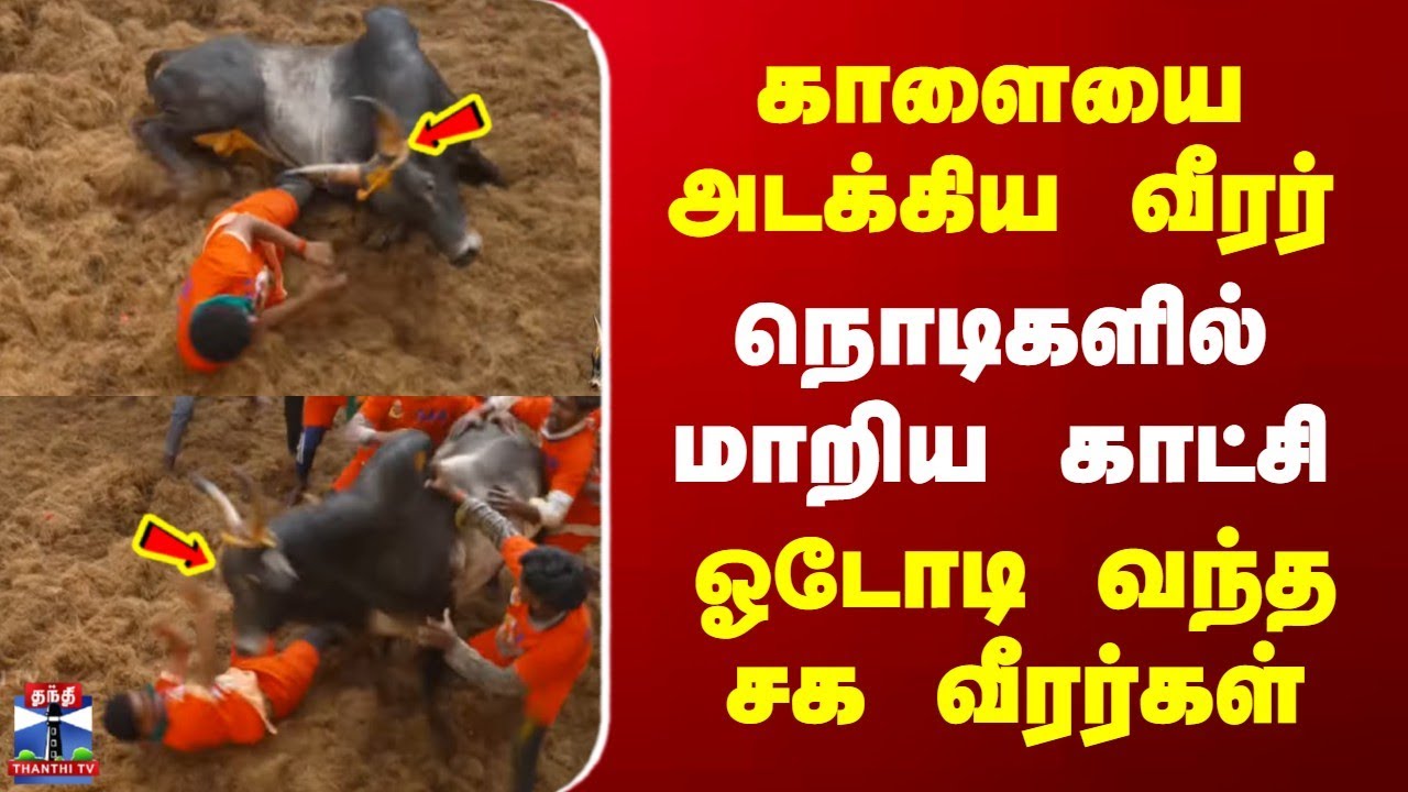 Avaniyapuram Jallikattu | காளையை அடக்கிய வீரர் | நொடிகளில் மாறிய காட்சி | ஓடோடி வந்த சக வீரர்கள்