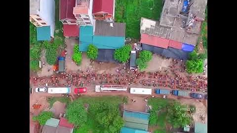 Mùa vải Lục Ngạn Bắc Giang quê tôi