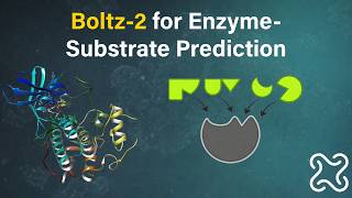 Can Boltz-2 predict substrates for enzymes?
