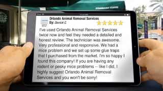 Orlando Animal Removal Services (407) 278-5277 Animal Trapping