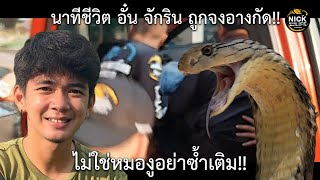 ลุยดิบ EP.69 นาทีชีวิต อั๋น จักริน ถูกจงอางกัด!! ไม่ใช่หมองูอย่าซ้ำเติม