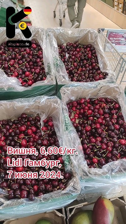 Вишня, 6,60€/кг. Lidl Гамбург, 7 июня 2024. #вишня #черешня #фрукты # ...