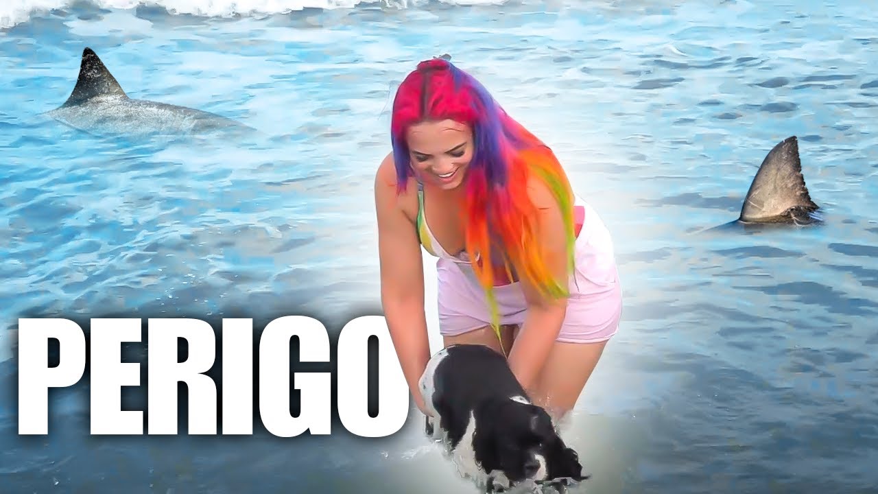 ISSO CONTECEU NA 1º VEZ DA DOG COOKIE NA PRAIA!