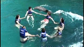 Nadando com Golfinhos - Xcaret Cancun