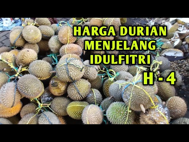 Harga Durian pagi ini menjelang Idulfitri H -4 di PASAR PASREPAN class=