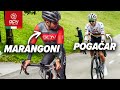 Quanto tempo di vantaggio serve per battere Pogačar in salita? 🚵‍♂️