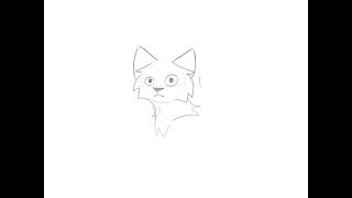Animation test loop