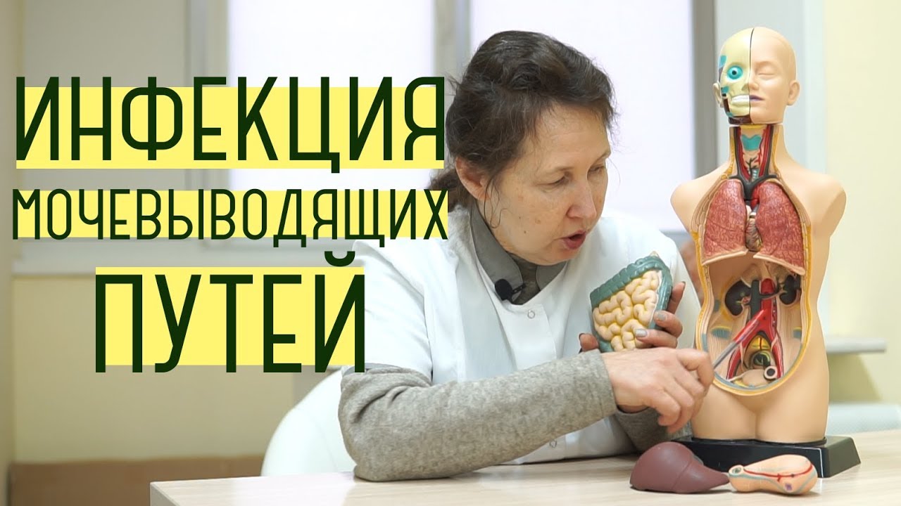 ИМП - Инфекция мочевыводящих путей - YouTube