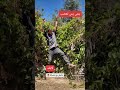 التحرش والنتيجة شاهد بعد الحذف