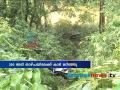 plunges down 250-feet: passengers safe