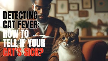 Detecting Cat Fever: How to Tell If Your Cat’s Sick?