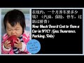 第24期：纽约养车有多贵？油价保险停车过路过桥费？ How Much Does It Cost to Own a Car in NYC? Gas, Insurance, Parking, Tolls