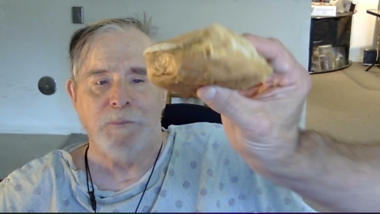 POWERCHAIR TRIP 1  BEST TURKEY SANDWICH