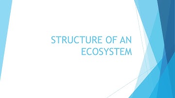 STRUCTURE OF AN ECOSYSTEM.