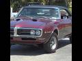 1968 Pontiac Firebird Classic Car Exhaust Sound Driving By at the Car Show Cruise In