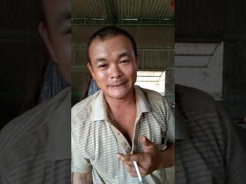 video 20190612 1405301