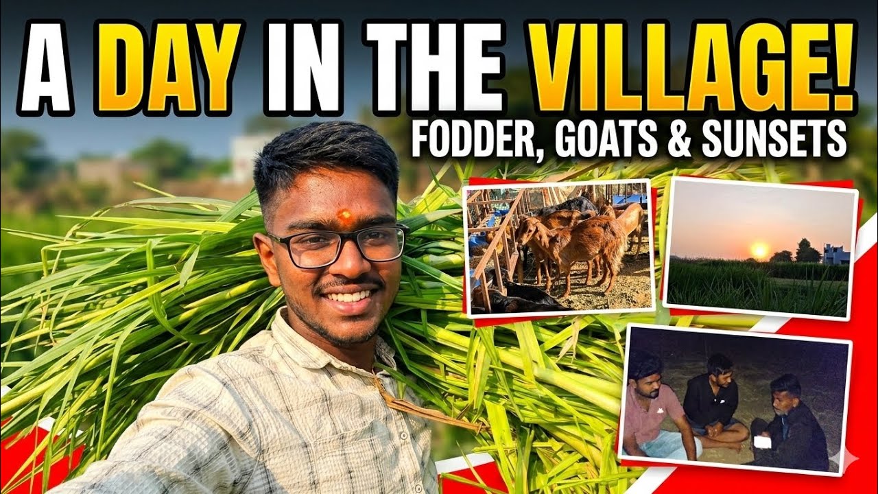 होळीचा सण आणि आमची गावची संस्कृती#ShamZinjurdeVlogs#VillageLife#RuralIndia#DailyVlog#FarmLife#Cinema