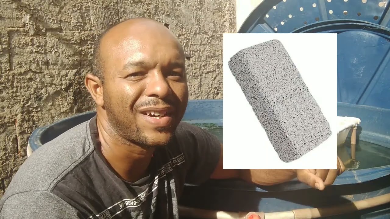 Como fiz minhas mídias biologicas