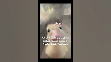 شو شعورك Song Music Cover Newmusic اكسبلور ايقنت موفكرتي 