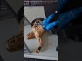 WWE Unforgiven 2006 Cena vs Edge TLC 🔥🔥🔥#shorts #wwe #wrestling #WrestlingFigures #mattel #WFC