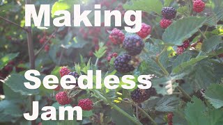 Blackberry Preserves Canning