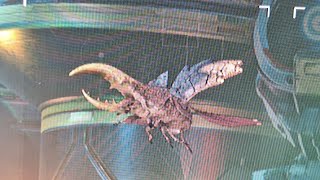 No Man s Sky - HUGE Beetle Wings Sequence Process