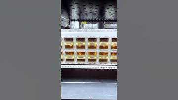 Our test switch! #shorts #youtubeshorts #network #homelab #ethernet