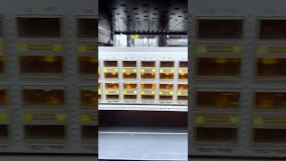 Our test switch! #shorts #youtubeshorts #network #homelab #ethernet