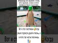 Вот и стал счастливым 😆 #юмор #ржач #мемас #шуточное #прикол #смешновидео #ржака #анекдоты #смех