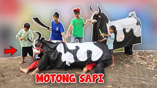 LOL pool | DRAMA B0C1L WANTED TO SACRIFICE A COW, BUT THE COW RUN AWAY, MAKING PANIC