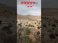 15 مارس 2025