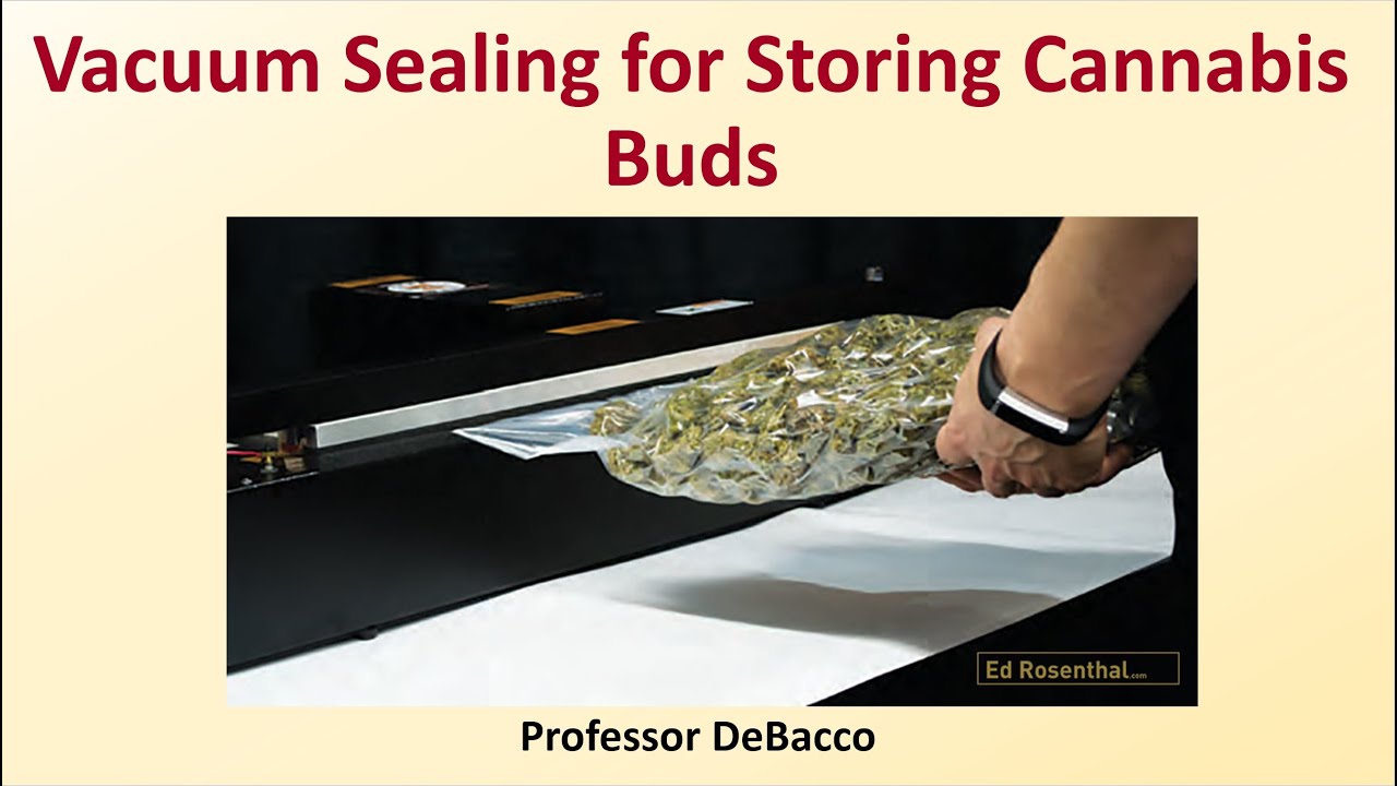 Vacuum Sealing for Storing Cannabis Buds YouTube
