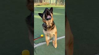 Все твои друзья женаты ￼😂 #shorts #арчи #прикол