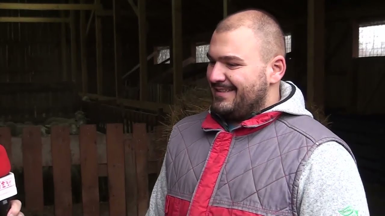 Otac je dobio otkaz u firmi tad smo krenuli u uzgoj ovaca.