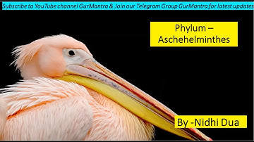 Phylum Aschelminthes | Kingdom Animalia | Diversity of Life Forms | CSIR-NET | GurMantra
